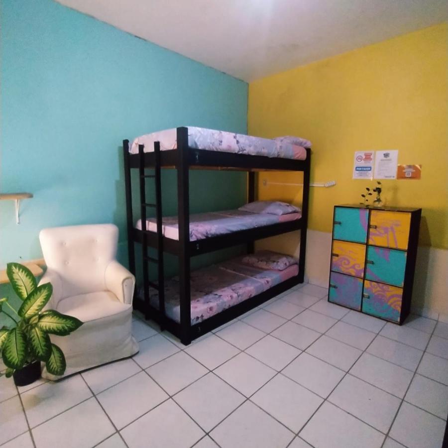 Maceió Proxima Estacion Hostel מראה חיצוני תמונה